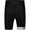 Dare 2b AEP Virtuous Shorts Herren Schwarz