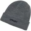 Oakley B1B Logo Beanie-Mütze Grau