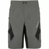 Zimtstern Tauruz Evo Shorts Herren Grau